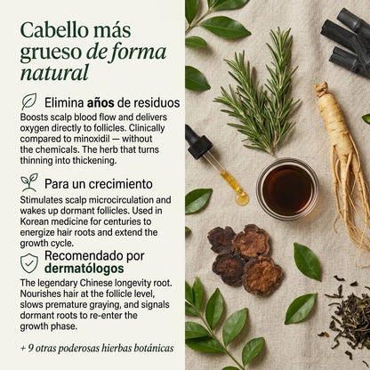 Barra Coreana Revitalizadora del Cuero Cabelludo